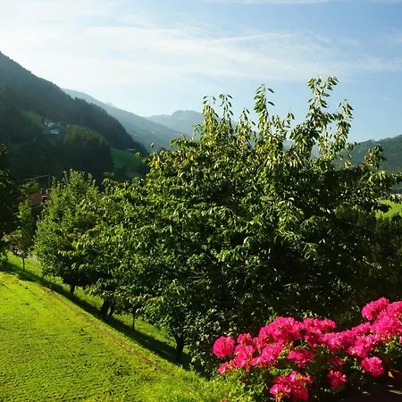 Zillertal - Haus Dichtl Apartment *