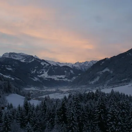 Apartment Zillertal - Haus Dichtl *