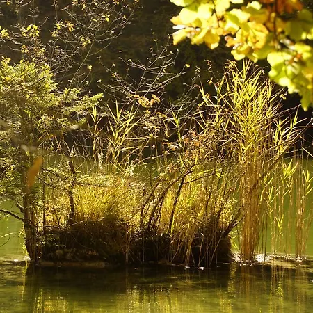 Zillertal - Haus Dichtl Appartement Stummerberg