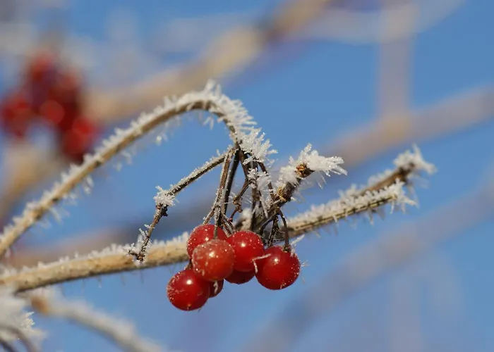 Zillertal - Haus Dichtl *