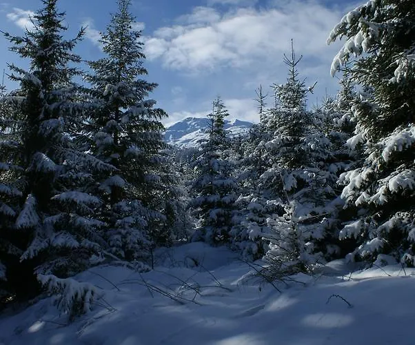 Zillertal - Haus Dichtl Stummerberg