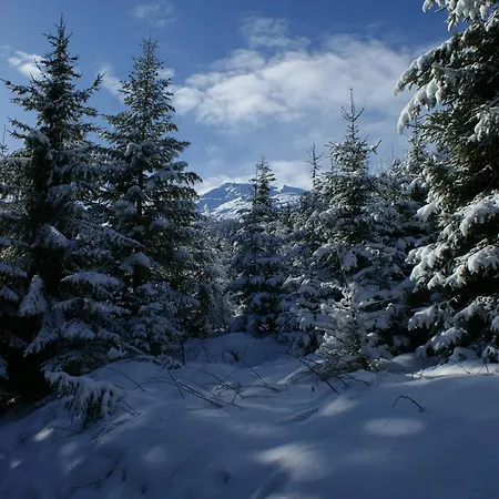 Zillertal - Haus Dichtl Stummerberg