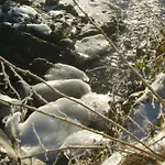 아파트 Zillertal - Haus Dichtl Stummerberg